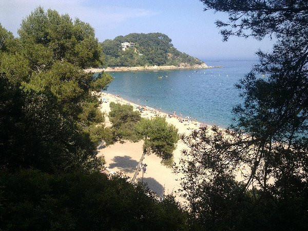Playa de Fenals景点图片