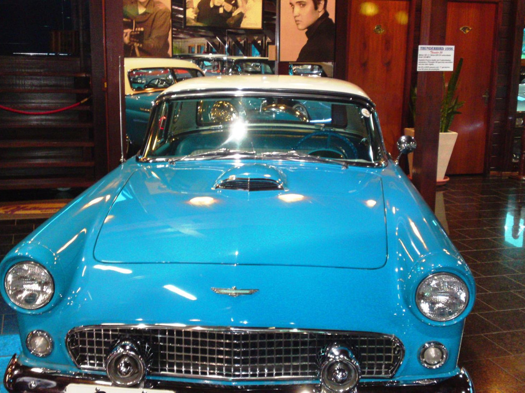 Hollywood Dream Cars-格拉玛多必去景点