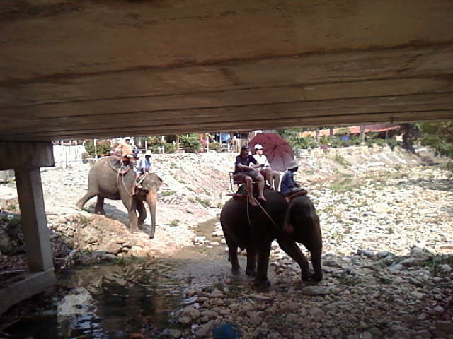 Ban Chang Thai - Elephant Camp景点图片