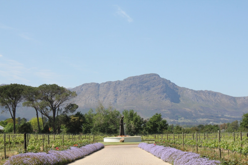 La Motte Wine Estate-法兰舒克必去景点