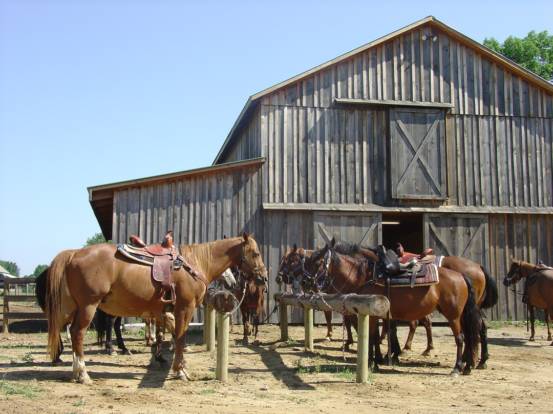 KD Guest Ranch