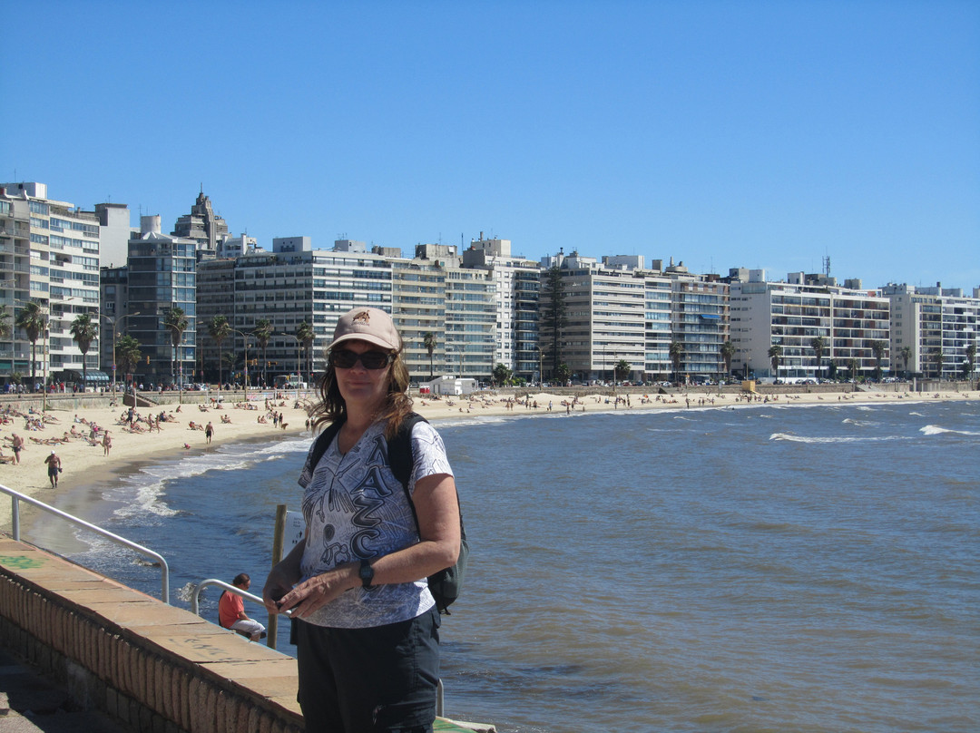 波西托斯-蒙得维的亚必去景点