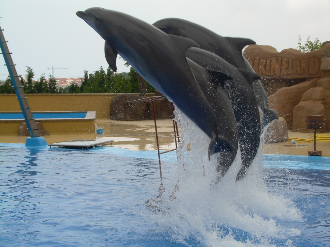 Marineland Catalunya-Palafolls必去景点