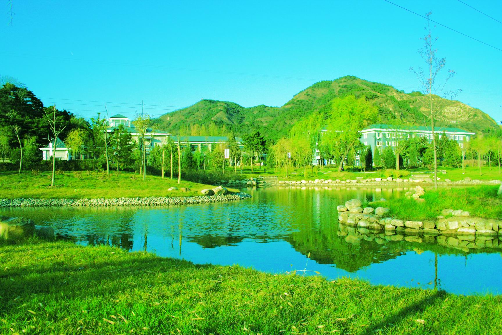 华电集团高级培训中心-客卧