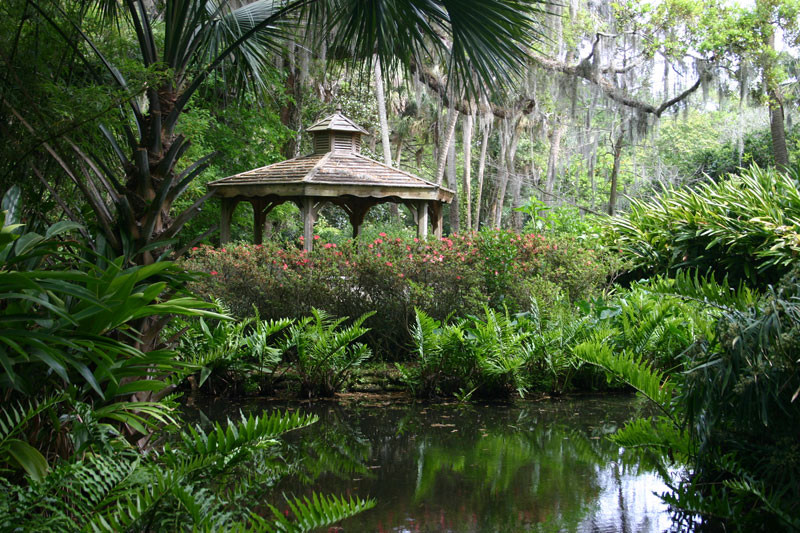 Washington Oaks Gardens State Park-棕榈海岸必去景点