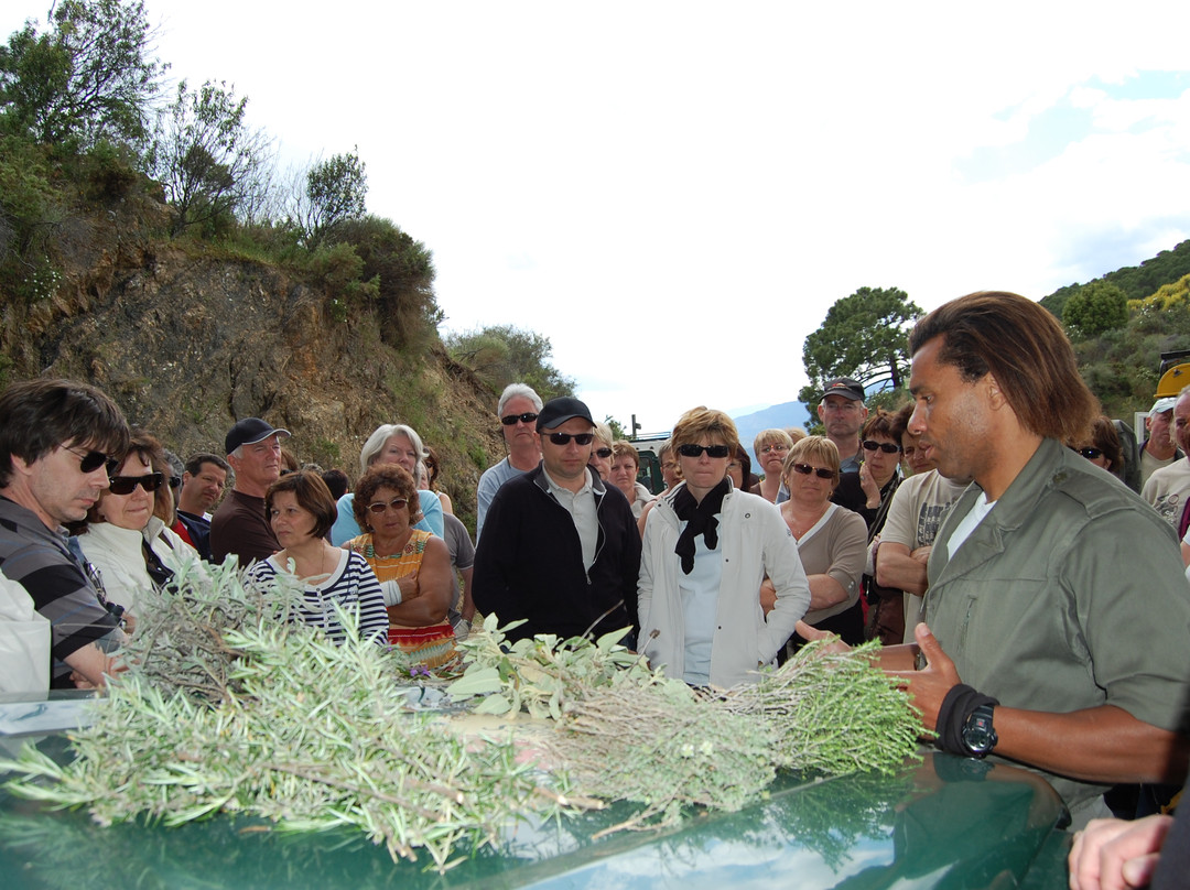 Born to be Wild-马贝拉必去景点