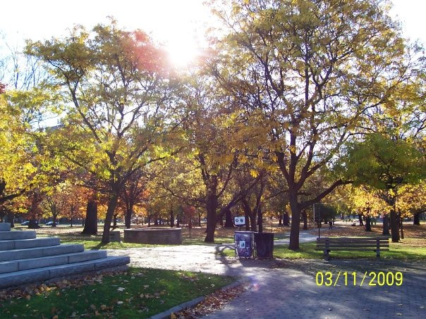 女王公园-多伦多必去景点