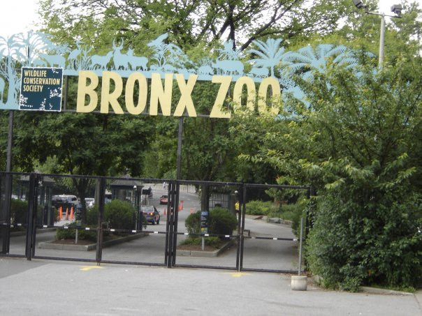 Bronx Zoo-布朗克斯必去景点