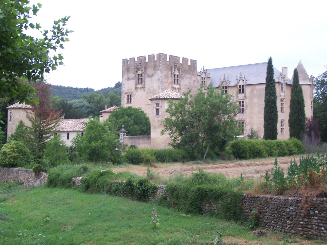 Chateau d'Allemagne en Provence
