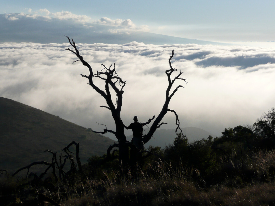 莫纳克亚山峰-凯鲁瓦-柯纳必去景点