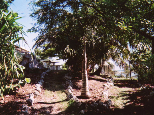 Key West Gardens at Fort West Martello-基韦斯特必去景点