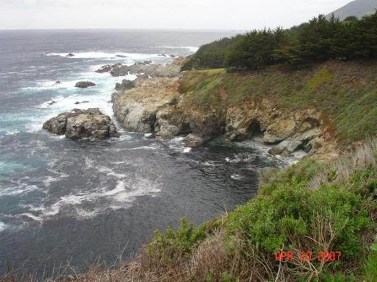 Old Coast Road-大苏尔必去景点