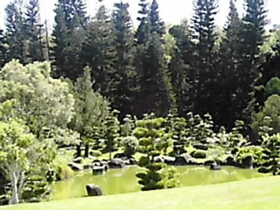 Jardin Botánico Nacional-圣多明哥必去景点