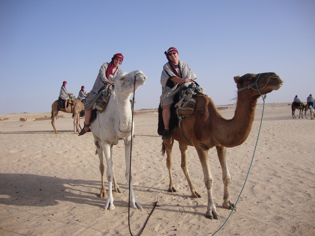 Tunisian Sahara景点图片
