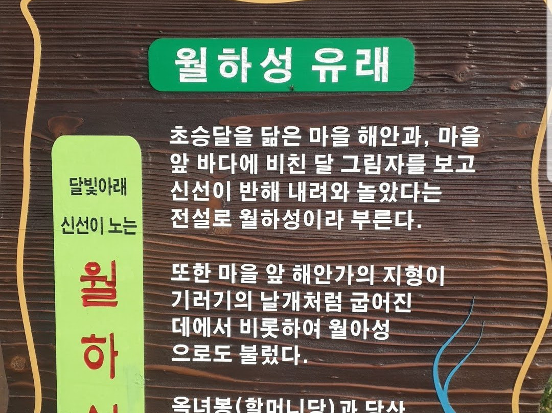월하성해물탕