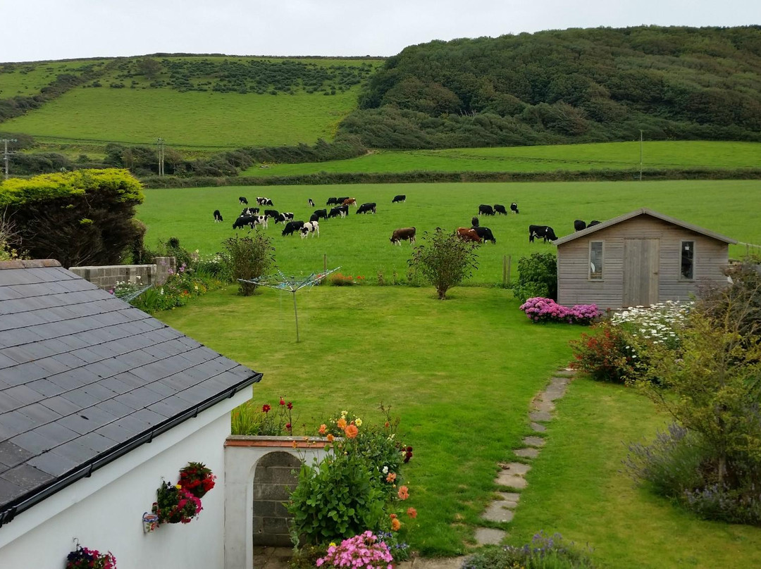 Oamaru Bed and Breakfast
