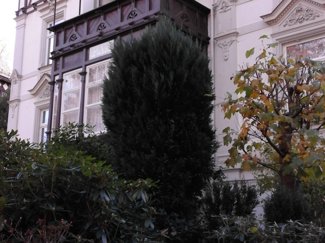 Adorf酒店住宿-Pension Pax