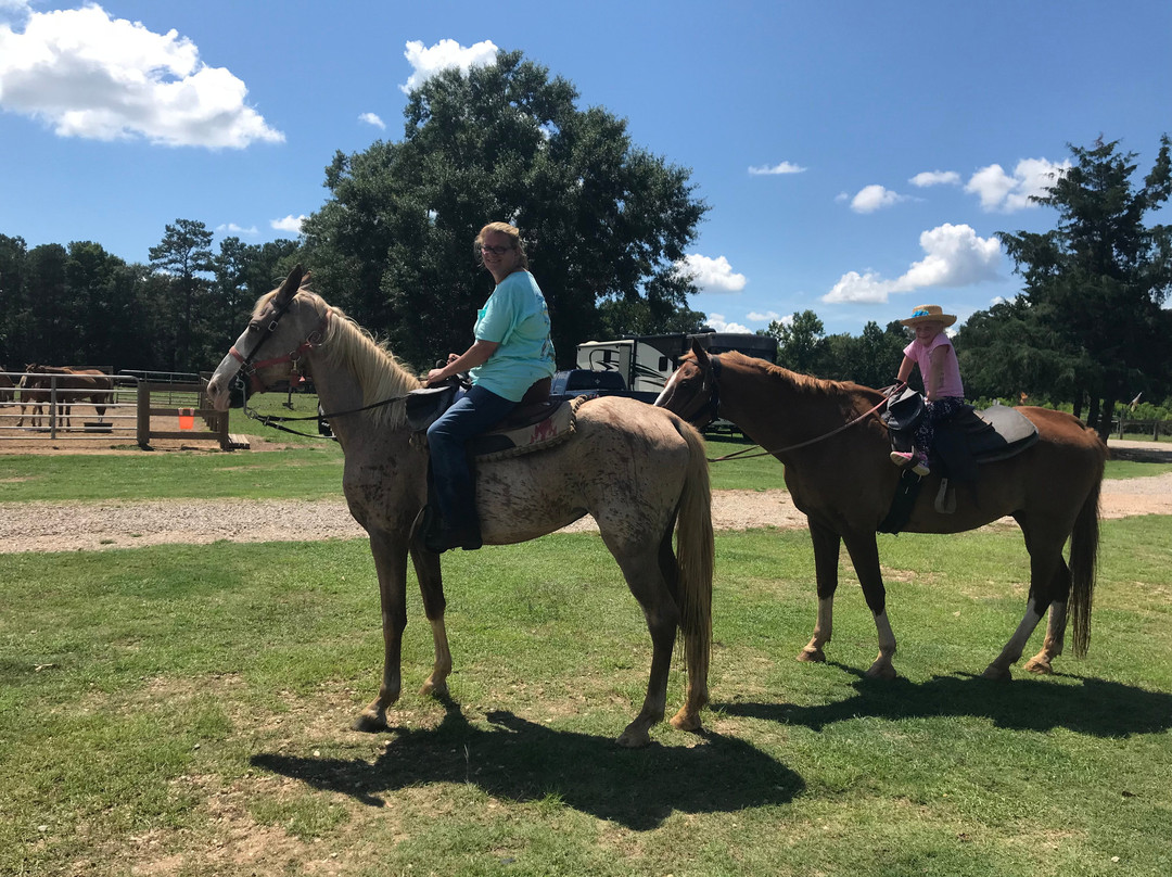 Sunflower Farm and Ranch-Folsom必去景点