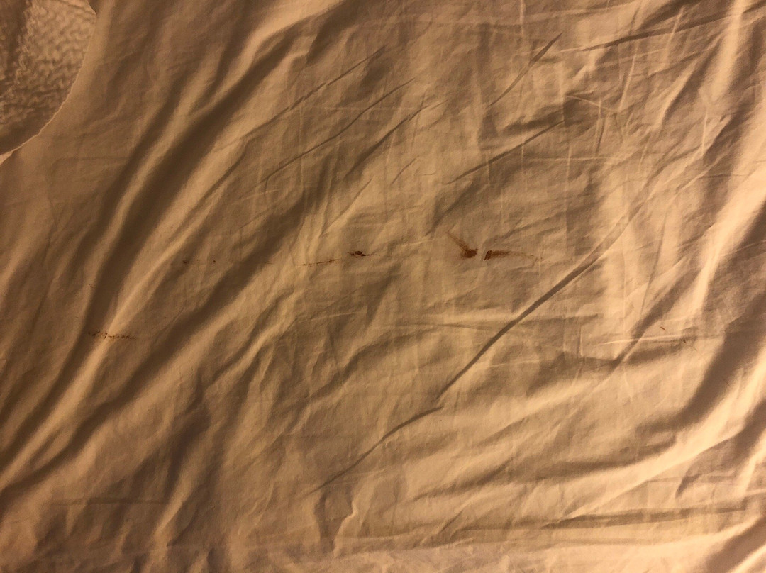 Fairfield by Marriott Inn & Suites Chicago Naperville/Aurora主图