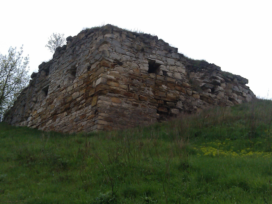 Zinkov Palace (Ruins)景点图片