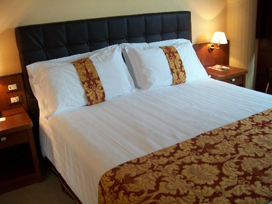 Galileo Palace Hotel-客卧
