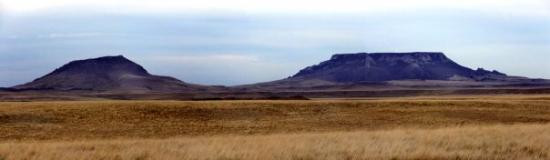 Stanford旅游攻略图片