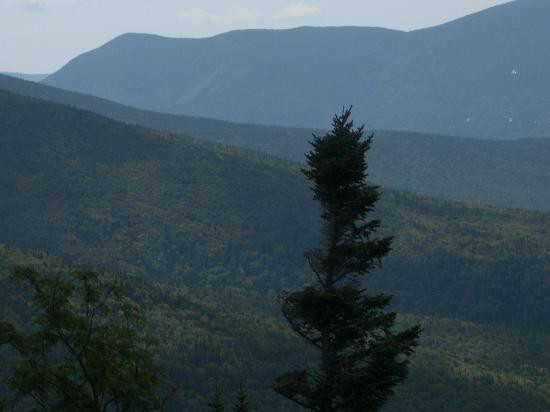 华盛顿山登山小火车-布雷顿森林必去景点