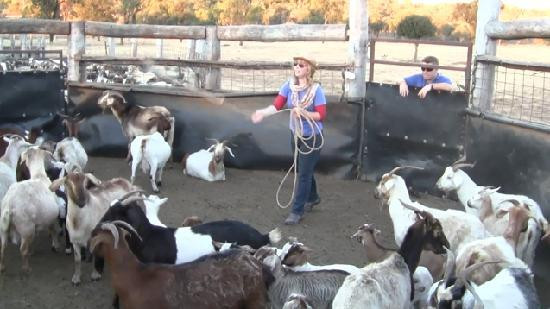 Kroombit Park-Biloela必去景点