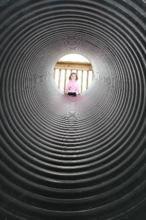 Chaney's Dairy Barn-鲍灵格林必去景点