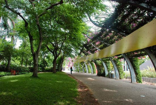 南岸公园-布里斯班必去景点