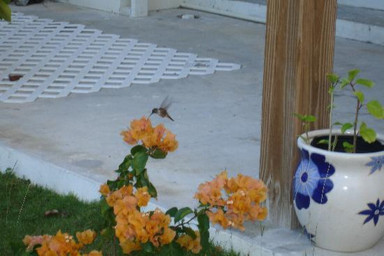 Kangaroo Island Hire a Guide-袋鼠岛必去景点