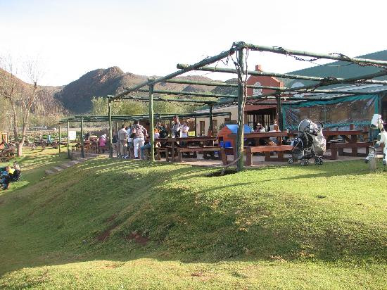 Wilgewandel Holiday Farm-奥兹洪必去景点