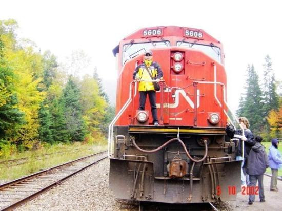 Algoma Central Railway-苏圣玛丽必去景点