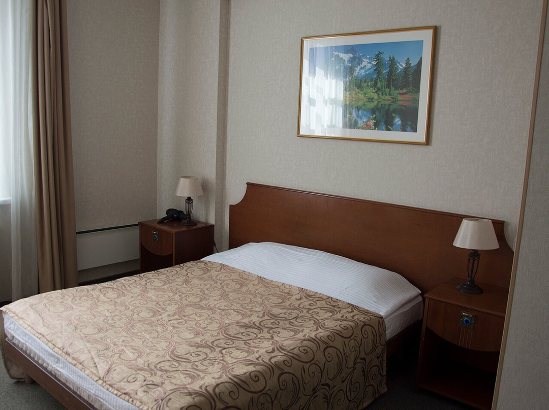 Hotel Viking主图