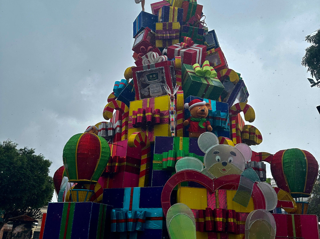 Espaco Cultural Largo de Sao Sebastiao景点图片