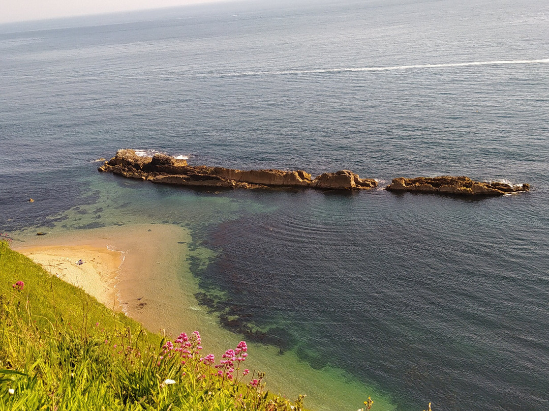 Durdle Door & White Nothe Circular Walk-西拉尔沃思必去景点