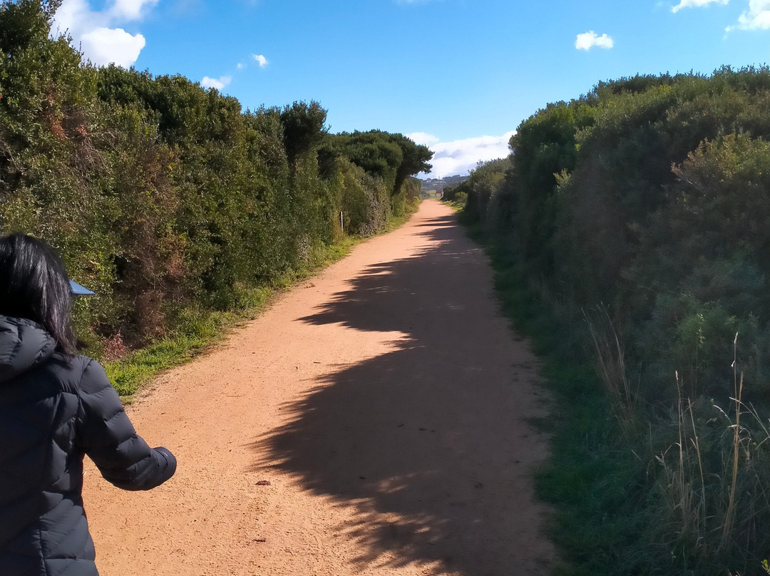 Bass Coast Rail Trail-Wonthaggi必去景点