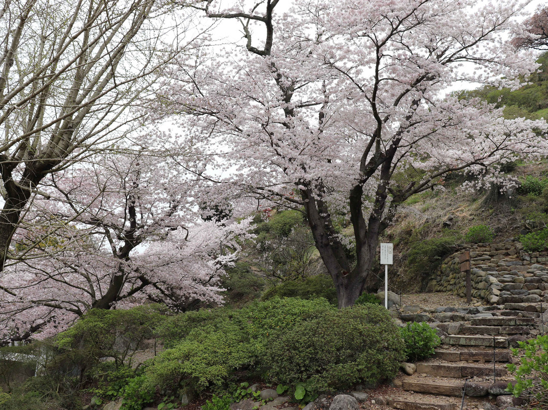 Higashiyama Park景点图片