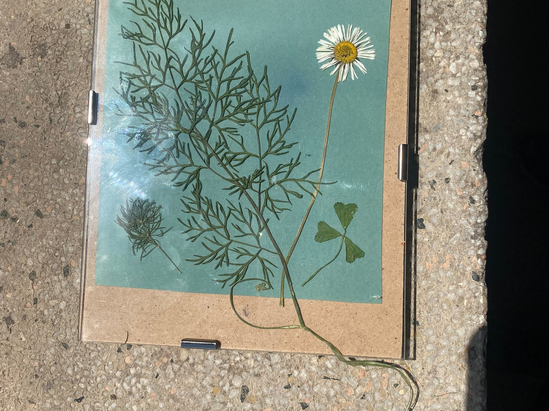 Technotown-罗马必去景点