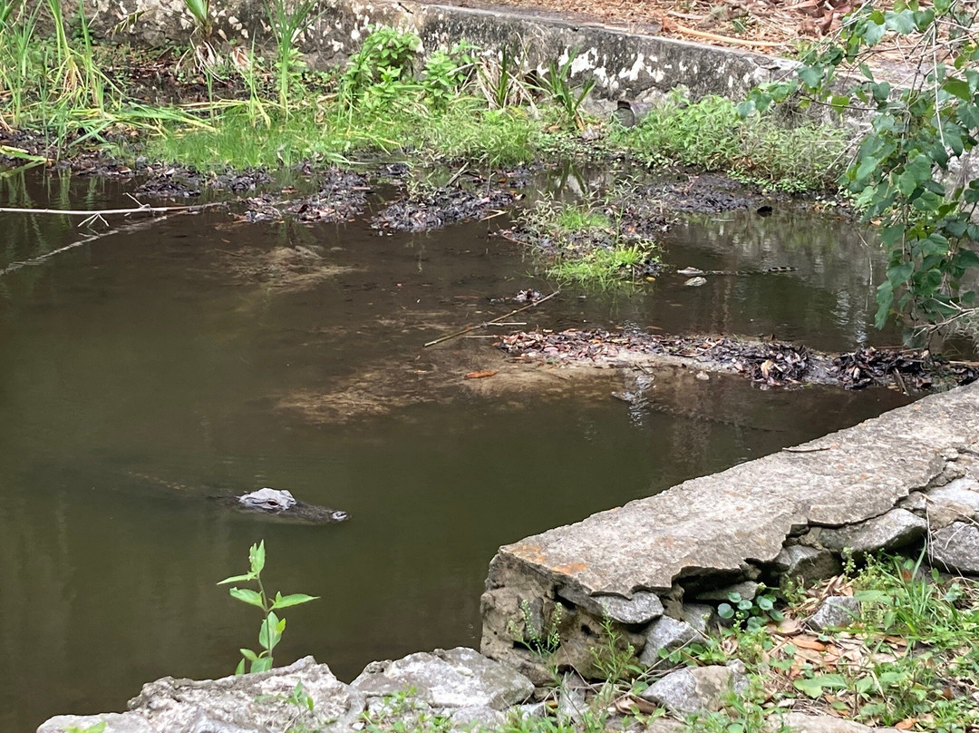 Cumberland Island National Seashore-St. Marys必去景点