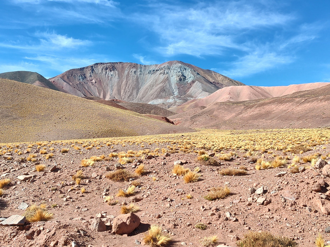 Laguna Brava Provincial Reserve-拉里奥哈必去景点