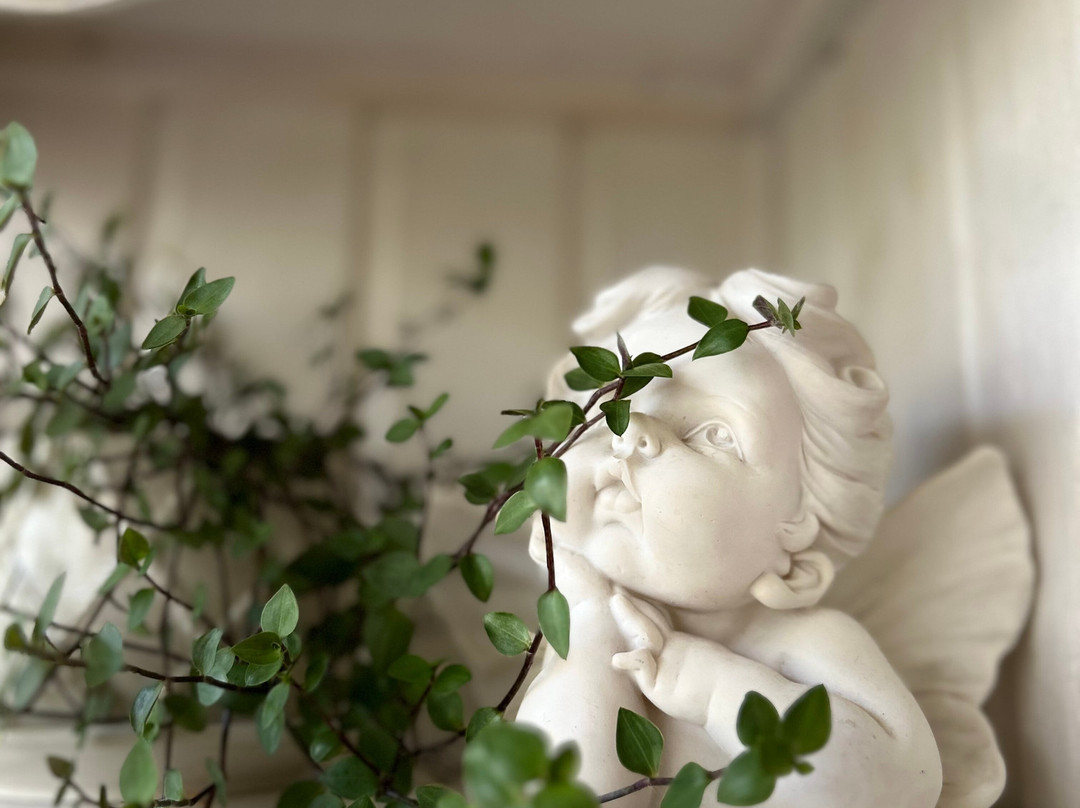 Aleksandria Guest House主图