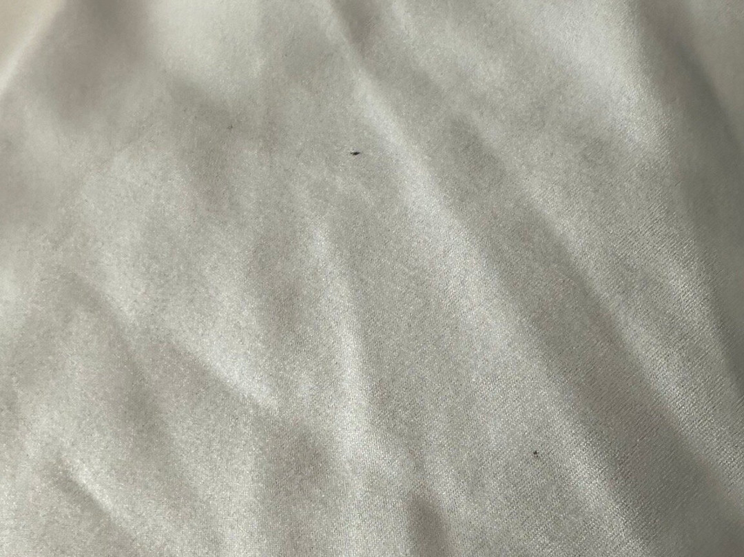 La Quinta Inn & Suites by Wyndham Holbrook Petrified Forest主图