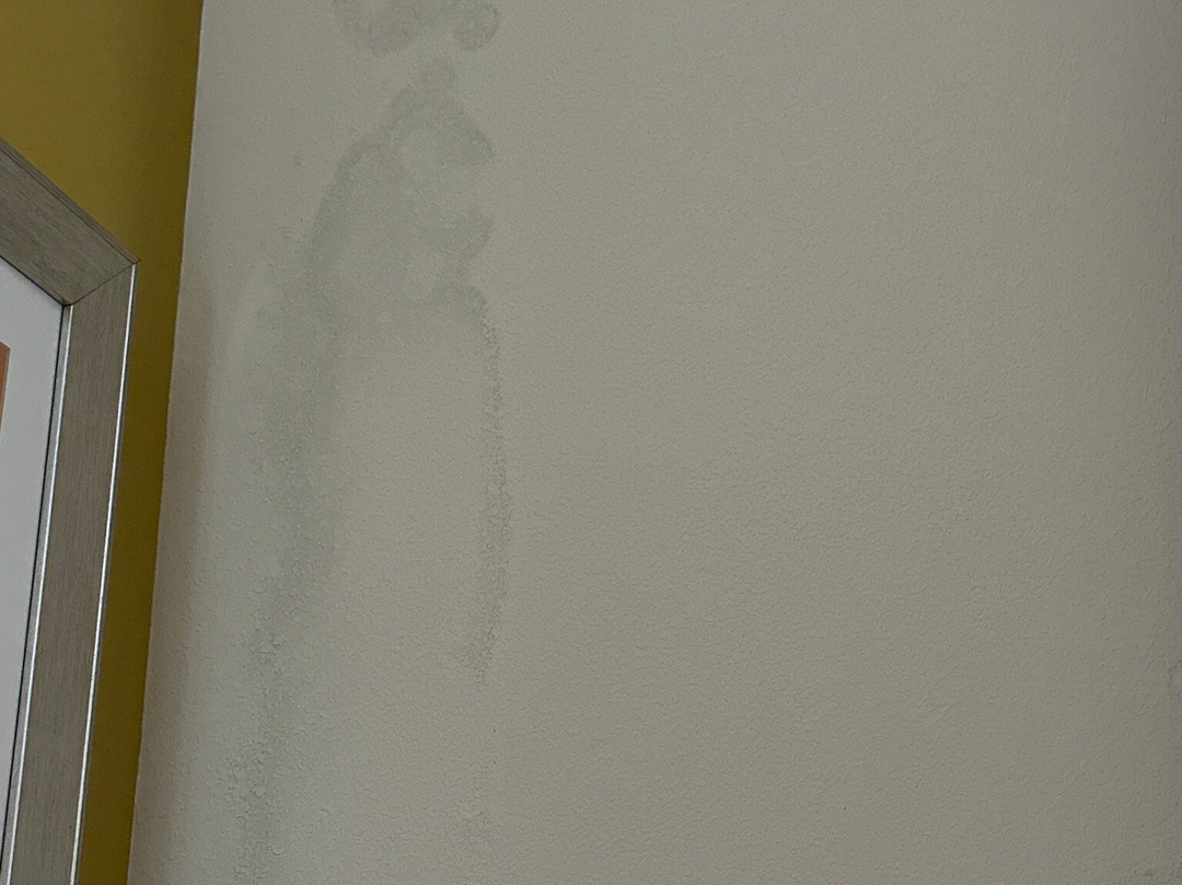 Hampton Inn Ringgold-Ft. Oglethorpe主图