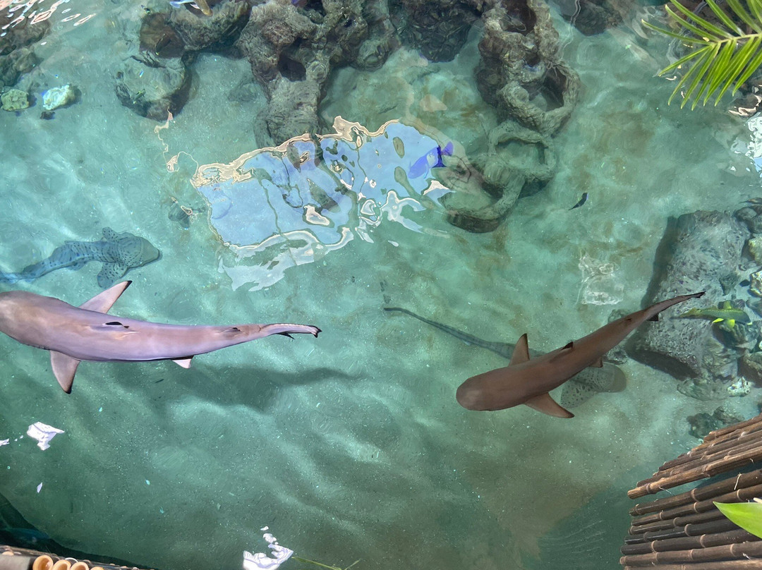 Aquarium Wilhelmshaven-威廉港必去景点