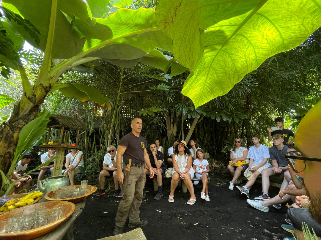Ecofinca Platanologico景点图片