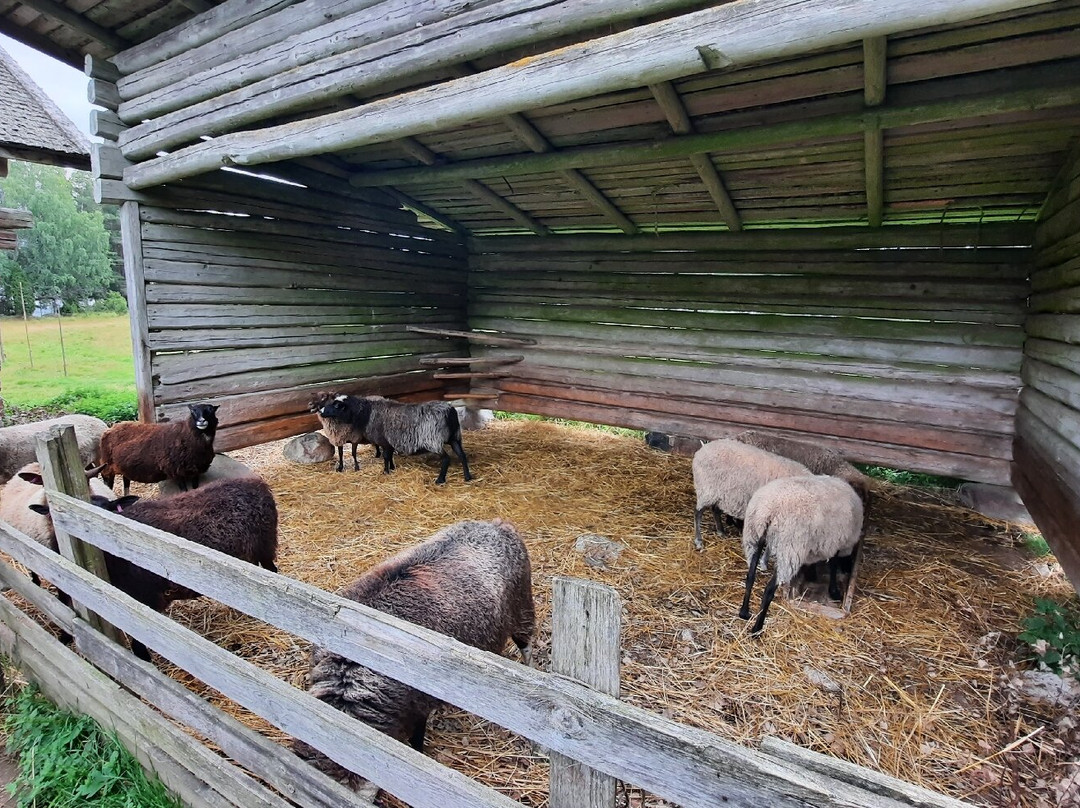 Liesjärven Kansallispuisto-Liesjarvi必去景点