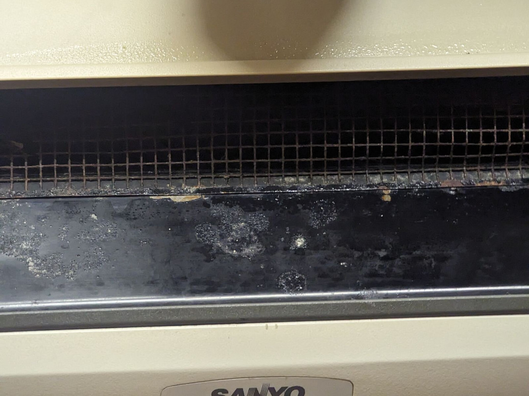 Red Roof Inn & Suites Wilson主图