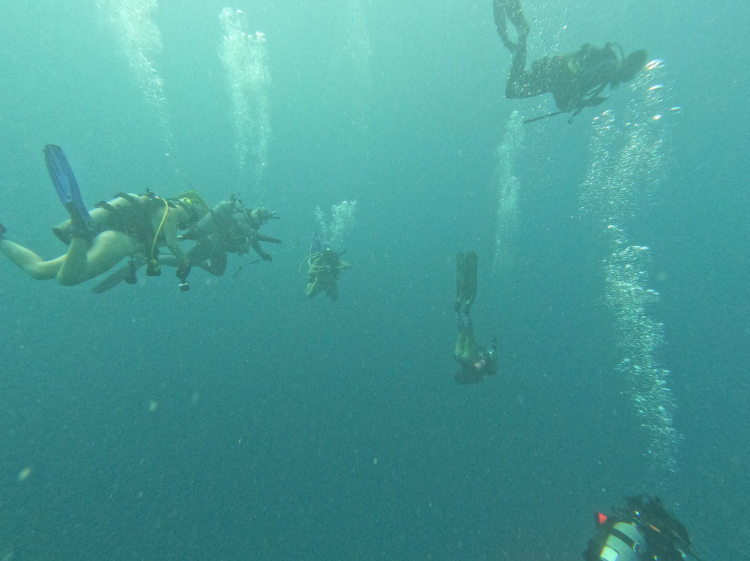 Scuba Works-朱庇特必去景点