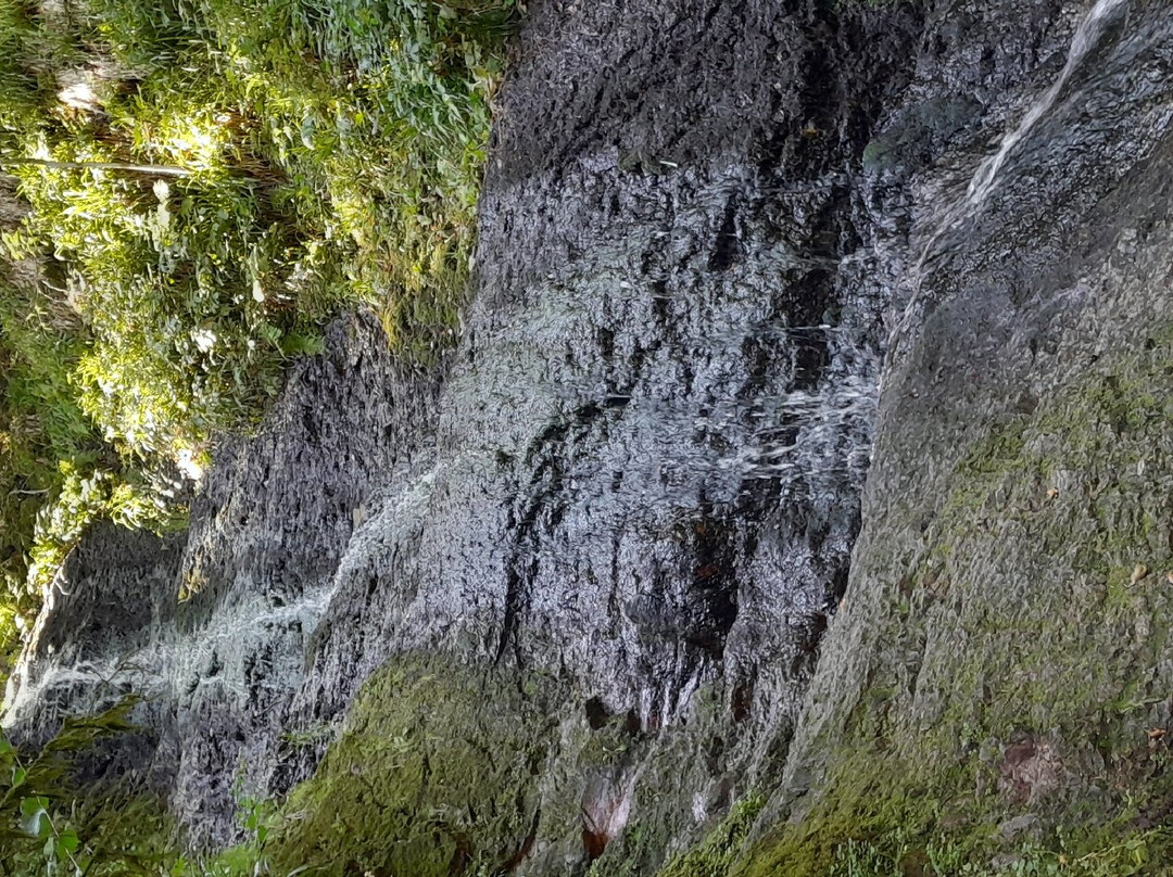 Le Saut de la Bourrique景点图片